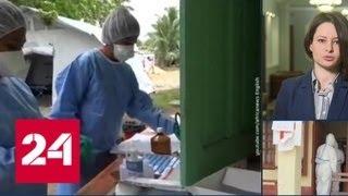 Российские медики помогли в борьбе с чумой на Мадагаскаре - Россия 24