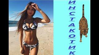 20 МИНУТ СМЕХА ДО СЛЕЗ | ЛУЧШИЕ ПРИКОЛЫ | ТИК ТОК 2021