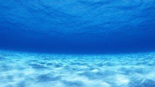 BBC:  Бермудский треугольник  - Тайна глубин океана