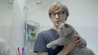 Реклама Яндекс Браузер. Парень моет кота. Прикол