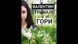 Валентин Стрыкало - Гори (cover.ПапаТани)