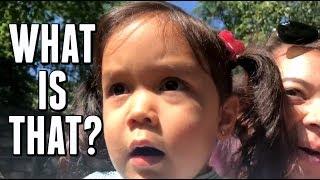 WHAT IN THE WORLD IS THAT?! -  ItsJudysLife Vlogs