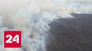 За сутки в России ликвидировано 170 лесных пожаров - Россия 24