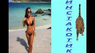 10 МИНУТ СМЕХА ДО СЛЕЗ | ЛУЧШИЕ ПРИКОЛЫ | ТИК ТОК 2021