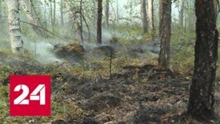 В Якутии горит 17 тысяч гектаров леса - Россия 24