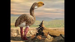 Доисторические хищники — Хищные птицы ящеры Документальные фильмы Nat Geo Wild HD