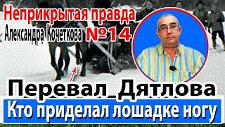 Перевал Дятлова. Кто приделал лошадке ногу