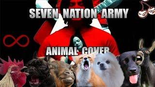 The White Stripes - Seven Nation Army (Animal Cover)