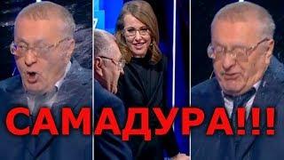 Теледебаты 2018: Галкин, Собчак, Жириновский и Путин