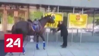 Депутат в знак протеста прискакал на сессию Заксобрания на коне - Россия 24