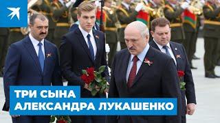 Три сына Александра Лукашенко
