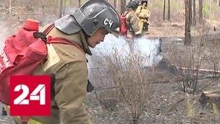 За сутки в России потушено больше 40 природных пожаров - Россия 24