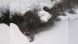 Релакс природа музыка для души и жизни 32