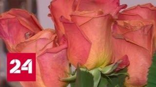 Для чукотских девушек цветы к 8 марта возут самолетами - Россия 24
