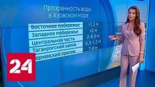 ВМС Украины против российского десанта: чем грозит минирование Азовского моря - Россия 24