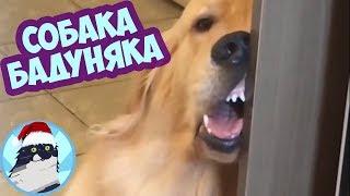 ПРИКОЛЫ 2018 ЯНВАРЬ 