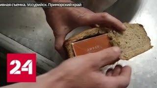 Мужчина пытался провезти незадекларированные сигареты в черном хлебе - Россия 24