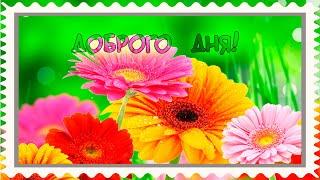 Хорошего дня! Укрась день улыбкой!