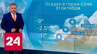 "Погода 24": циклон "Геварт" принес в Россию ливневые дожди - Россия 24