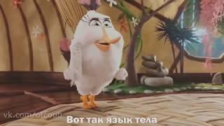 COUB лучшее приколы новые приколы 2017