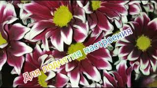 Для поднятия настроения
