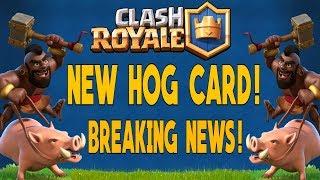 NEWS: New Hog Card Coming & Supercell Responds to Community (and me!)