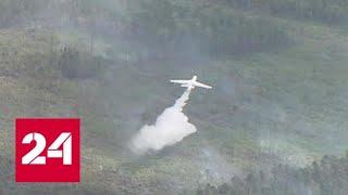 Борьба с огнем: пожары в тайге тушат с земли и с воздуха - Россия 24