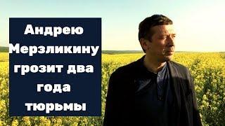 Андрею Мерзликину грозит два года тюрьмы!!! Новости шоу бизнеса