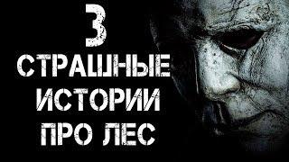 3 СТРАШНЫЕ ИСТОРИИ ПРО ЛЕС | Страшилки