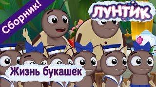 Лунтик 