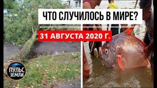 Катаклизмы за день 31 августа 2020 ! Пульс Земли ! в мире ! событие дня ! изменение климата