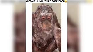 ЛУЧШЕ ВИДЕО ПРИКОЛЫ! ЛУЧШИЕ ПРИКОЛЫ АПРЕЛЬ 2021! #25