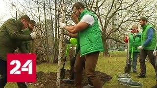 В Москве стартовала акция "Миллион деревьев" - Россия 24