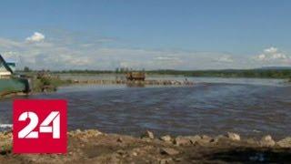 В Забайкалье начали вывозить трупы животных, погибших во время наводнения - Россия 24