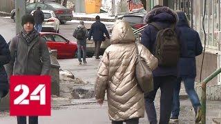 В Москве объявлен желтый уровень погодной опасности - Россия 24
