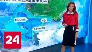 "Погода 24": дожди в столице задержатся - Россия 24