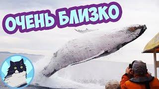 ОЧЕНЬ БЛИЗКО 