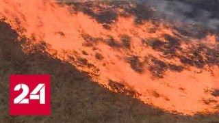 Природные пожары в России поглотили 190 тысяч гектаров - Россия 24