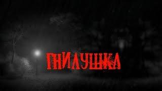 Страшные истории на ночь- Гнилушка