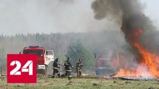 В Подмосковье прошли масштабные учения в преддверии пожароопасного сезона - Россия 24