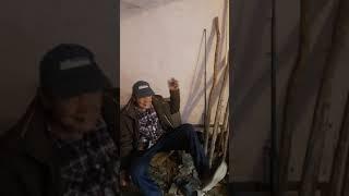 Чисто для поднятия настроения