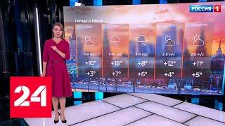 Погода в Москве: синоптики прогнозируют заморозки - Россия 24