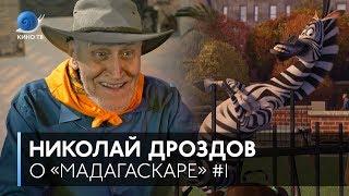 Николай Дроздов о зебре на Кино ТВ («Мадагаскар»)
