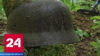 В Калининградской области с воинскими почестями захоронят экипаж сбитого в бою Ил-2 - Россия 24