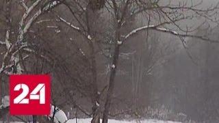 Трехлетний мальчик смог один выбраться из леса, пройдя 3 км в мороз -35 - Россия 24