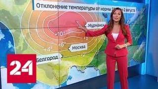 "Погода 24": ливни смогут ненадолго сбить аномальную жару в европейской части России - Россия 24