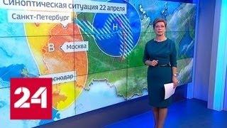 "Погода 24": 22 апреля в Москве стало самым теплым днем с начала года - Россия 24