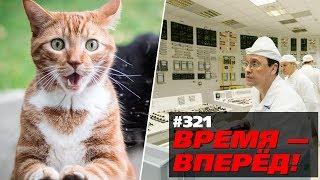 Посмотри, что сделали в России пока ты ныл