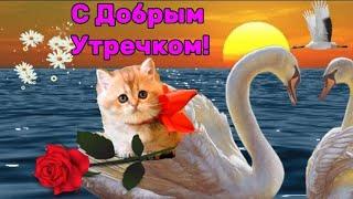С Добрым утром, Среда! Лёгкого пробуждение!!!!⏰