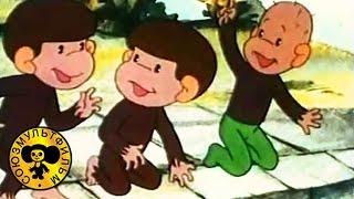 Обезьянки, вперед! | Советские мультфильмы для малышей